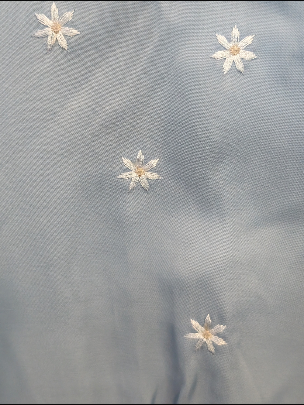 40's Style Romantic Cottagecore Powder Blue Flower Embroidered Maxi Dress Roolee
